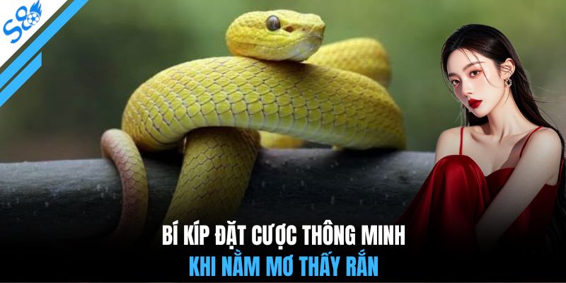 Bí kíp đặt cược thông minh khi nằm mơ thấy rắn