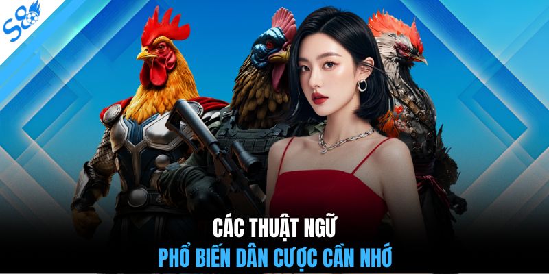 Các thuật ngữ phổ biến dân cược cần nhớ