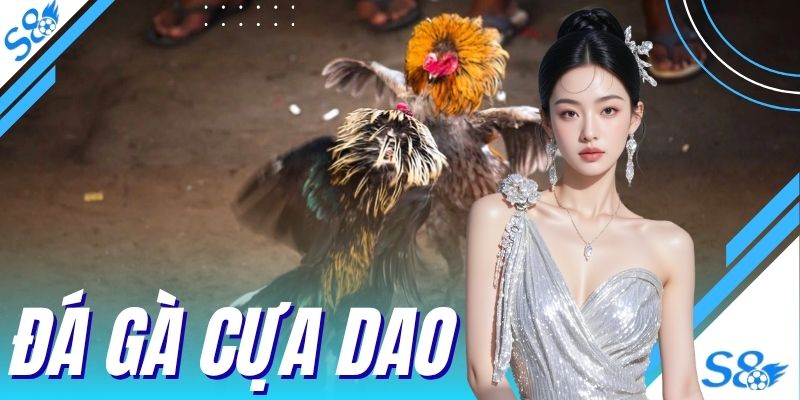 Đá Gà Cựa Dao - Sức Hút Từ Những Trận Chiến Rực Lửa Tại S8