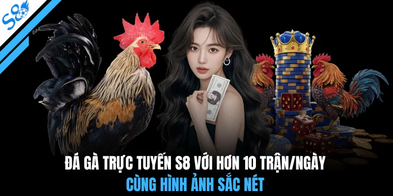 Đá gà trực tuyến S8 với hơn 10 trận/ngày cùng hình ảnh sắc nét