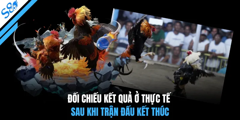 Đối chiếu kết quả ở thực tế sau khi trận đấu kết thúc