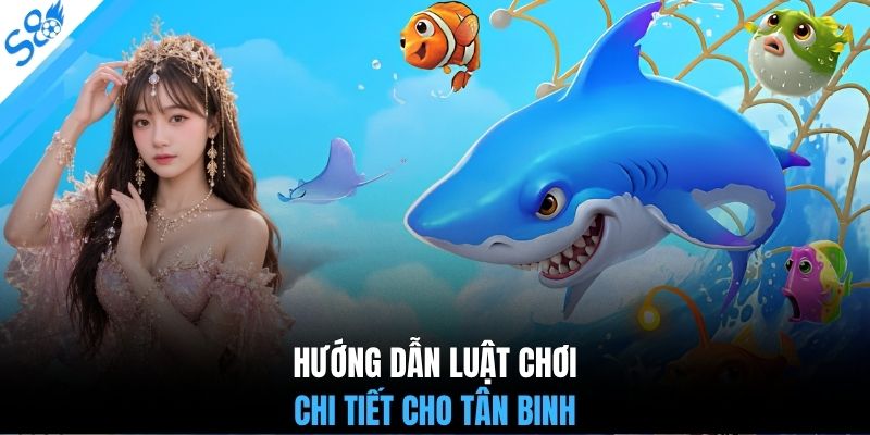 Hướng dẫn luật chơi chi tiết cho tân binh