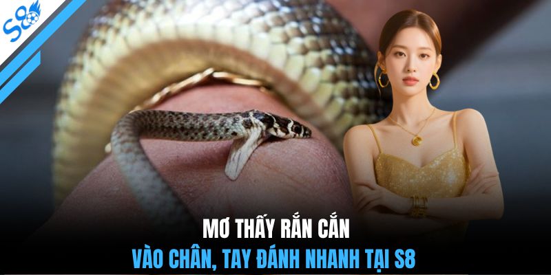 Mơ thấy rắn cắn vào chân, tay đánh nhanh tại S8