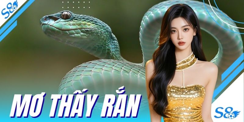 Mơ Thấy Rắn S8 Điềm Báo Hung Hay Cát Chốt Số Lô Đề 99%