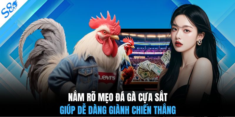Nắm rõ mẹo đá gà cựa sắt giúp dễ dàng giành chiến thắng