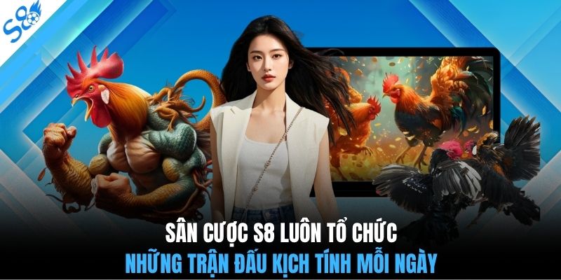 Sân cược S8 luôn tổ chức những trận đấu kịch tính mỗi ngày