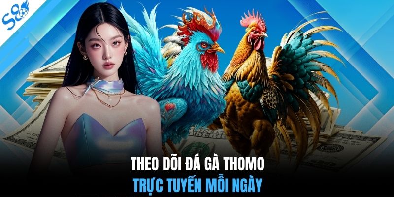 Theo dõi đá gà thomo trực tuyến mỗi ngày