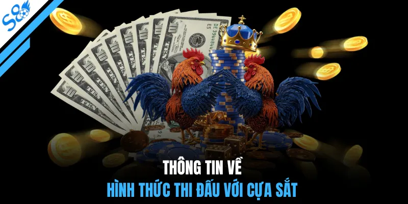 Những hình thức thi đấu phổ biến được nhiều người xem